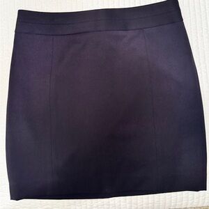 Express Women's Dark Navy Mini Skirt